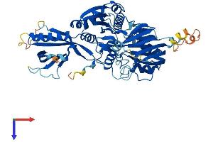 CERK Protein (AA 1-537) (His tag)