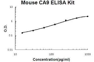 Mouse CA9 PicoKine ELISA Kit standard curve