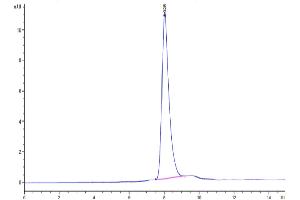 Size-exclusion chromatography-High Pressure Liquid Chromatography (SEC-HPLC) image for delta-Like 1 Homolog (Drosophila) (DLK1) (AA 24-306) protein (His tag) (ABIN7274476)