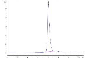 The purity of Cynomolgus DLK1 is greater than 95 % as determined by SEC-HPLC. (DLK1 Protein (AA 24-306) (His tag))