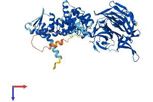 KBTBD5 Protein (AA 1-621) (His tag)
