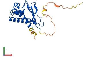 Protein Structure (PS) image for B-Cell Translocation Gene 1, Anti-Proliferative (BTG1) (AA 1-171) protein (His tag) (ABIN7552779)