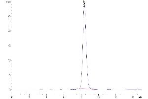 Size-exclusion chromatography-High Pressure Liquid Chromatography (SEC-HPLC) image for Follicle Stimulating Hormone, beta Polypeptide (FSHB) (AA 20-130) protein (Fc Tag) (ABIN7274688)