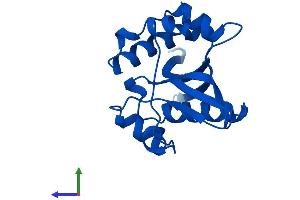 Protein Structure (PS) image for Spermidine/Spermine N1-Acetyltransferase 2 (SAT2) (AA 1-170) protein (His tag) (ABIN7558012)