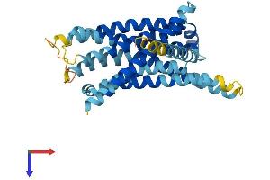 Taste Receptor, Type 2, Member 129 (TAS2R129) (AA 1-320) protein (His tag)