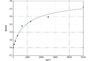 Integrator Complex Subunit 3 (INTS3) ELISA Kit