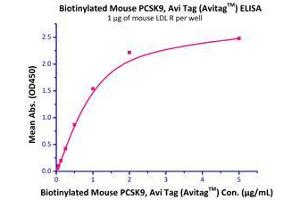 Immobilized Mouse LDL R Protein, His Tag (Cat# LDR-M52H8 ) at 10 μg/mL (100 μL/well) can bind Biotinylated Mouse PCSK9 Protein (Cat# PC9-M82E1 ) with a linear range of 0.