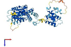 ORC5 Protein (AA 1-435) (His tag)