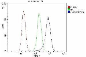 Flow Cytometry analysis of SiHa cells using anti-ALDOB antibody (ABIN7602563).