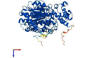 GCKR Protein (AA 1-625) (His tag)