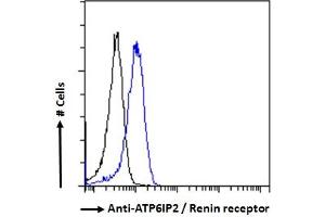 ABIN185092 Flow cytometric analysis of paraformaldehyde fixed HeLa cells (blue line), permeabilized with 0. (ATP6AP2 Antikörper  (C-Term))