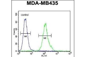 Flow Cytometry (FACS) image for anti-Membrane-Spanning 4-Domains, Subfamily A, Member 4 (MS4A4A) (AA 37-64), (N-Term) antibody (ABIN654770)