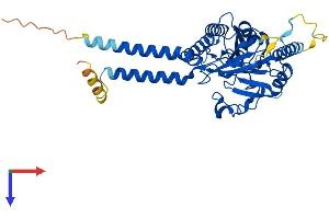 MPPE1 Protein (AA 1-396) (His tag)