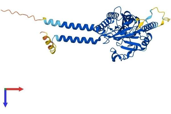 MPPE1 Protein (AA 1-396) (His tag)