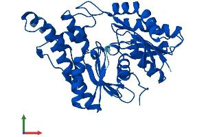 AlphaFold protein structure predicition of Mouse Recombinant Osgep Protein, UniprotID Q8BWU5