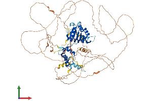AlphaFold protein structure predicition of Mouse Recombinant Fam83c Protein, UniprotID A2ARK0