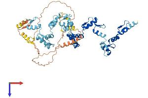 ZNF266 Protein (AA 1-549) (His tag)