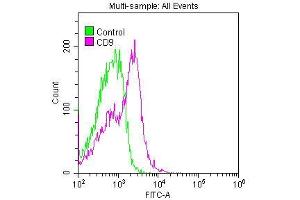 Overlay histogram showing Jurkat cells stained with ABIN7127286 (red line) at 1:50. (Rekombinanter CD9 Antikörper)