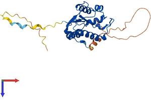 N4BP2L1 Protein (AA 1-243) (His tag)