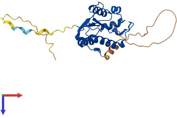 N4BP2L1 Protein (AA 1-243) (His tag)