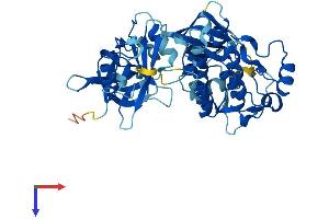 PTK6 Protein (AA 1-451) (His tag)