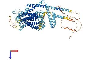 Protein Structure (PS) image for Transmembrane Channel-Like 8 (TMC8) (AA 1-722) protein (His tag) (ABIN7558221)