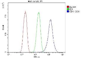 Flow Cytometry analysis of PC-3 cells using anti-CDK1 antibody (ABIN7602240). (CDK1 Antikörper  (AA 66-297))