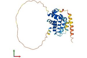 AlphaFold protein structure predicition of Mouse Recombinant Bcl2l1 Protein, UniprotID Q64373 (BCL2L1 Protein (AA 1-233) (His tag))