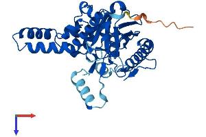 MOGAT3 Protein (AA 1-341) (His tag)