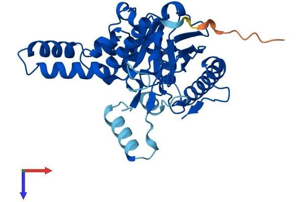 MOGAT3 Protein (AA 1-341) (His tag)