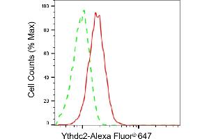 Flow cytometric analysis of Ythdc2 expression in HepG2 cells using Ythdc2 antibody (ABIN7800884), 1:2,000). (Rekombinanter YTHDC2 Antikörper)