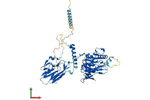 AlphaFold protein structure predicition of Mouse Recombinant B4galnt1 Protein, UniprotID Q09200