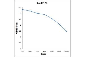 Antigen: 0. (c-MYC Antikörper  (pThr358))