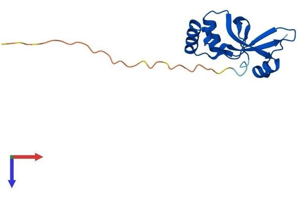 Sulfiredoxin 1 Protein (SRX1) (AA 1-137) (His tag)