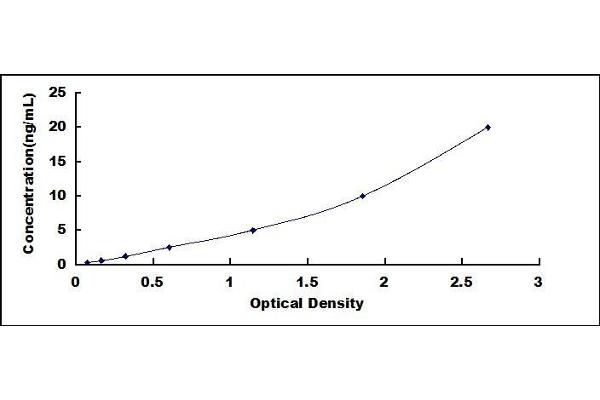 CD47 ELISA Kit