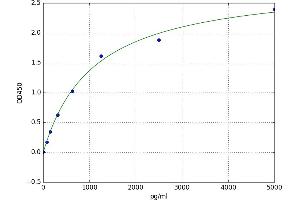 Ectonucleoside Triphosphate diphosphohydrolase 1 (ENTPD1) ELISA Kit