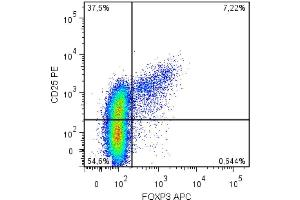 Intracellular staining of human peripheral blood cells (gated on CD4+ cells) with anti-FoxP3 (clone 3G3). (FOXP3 Antikörper  (PE))