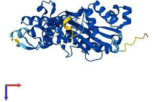 ACTR1B Protein (AA 1-376) (His tag)