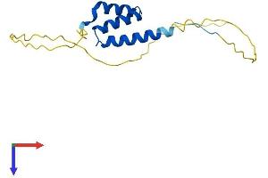 AlphaFold protein structure predicition of Human Recombinant ERICH2 Protein, UniprotID A1L162