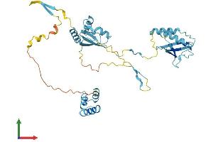 Protein Structure (PS) image for NSFL1 (p97) Cofactor (p47) (NSFL1C) (AA 1-370) protein (His tag) (ABIN7549960)