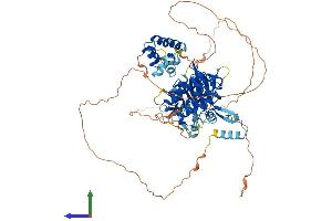 Protein Structure (PS) image for Interleukin-1 Receptor-Associated Kinase 1 (IRAK1) (AA 1-710) protein (His tag) (ABIN7563963)