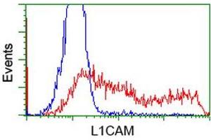 Flow Cytometry (FACS) image for anti-L1 Cell Adhesion Molecule (L1CAM) antibody (ABIN1499087) (L1CAM Antikörper)
