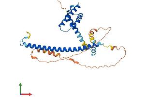 AlphaFold protein structure predicition of Human Recombinant FSBP Protein, UniprotID O95073 (FSBP Protein (AA 1-299) (His tag))