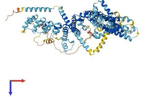 TRPC1 Protein (AA 1-793) (His tag)