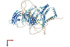 Multiple C2 Domains, Transmembrane 2 (MCTP2) (AA 1-878) protein (His tag)