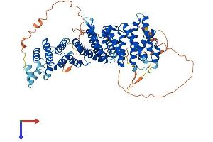 RRN3 Protein (AA 1-656) (His tag)