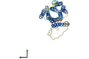 AlphaFold protein structure predicition of Human Recombinant SLC39A2 Protein, UniprotID Q9NP94 (ZIP2 Protein (AA 1-309) (His tag))