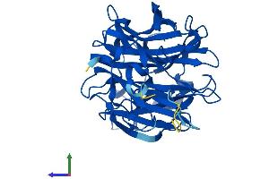 Protein Structure (PS) image for Sialidase 2 (Cytosolic Sialidase) (NEU2) (AA 1-379) protein (His tag) (ABIN7561712)