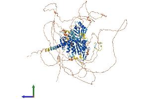 Protein Structure (PS) image for SUMO1/sentrin Specific Protease 6 (SENP6) (AA 1-1132) protein (His tag) (ABIN7564092)