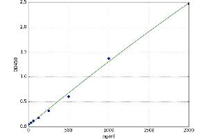 Ezrin (EZR) ELISA Kit